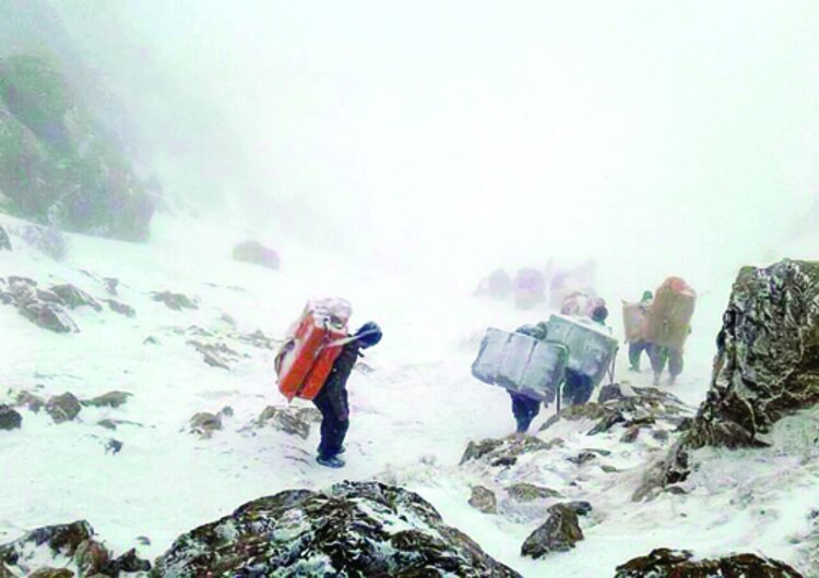 تعاونی بستر مناسبی برای ساماندهی کولبران نیست