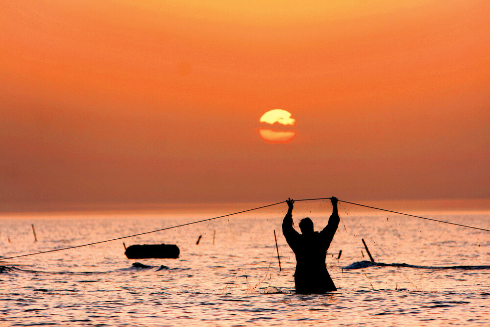 هشدار به شناگران و صیادان در خلیج فارس
