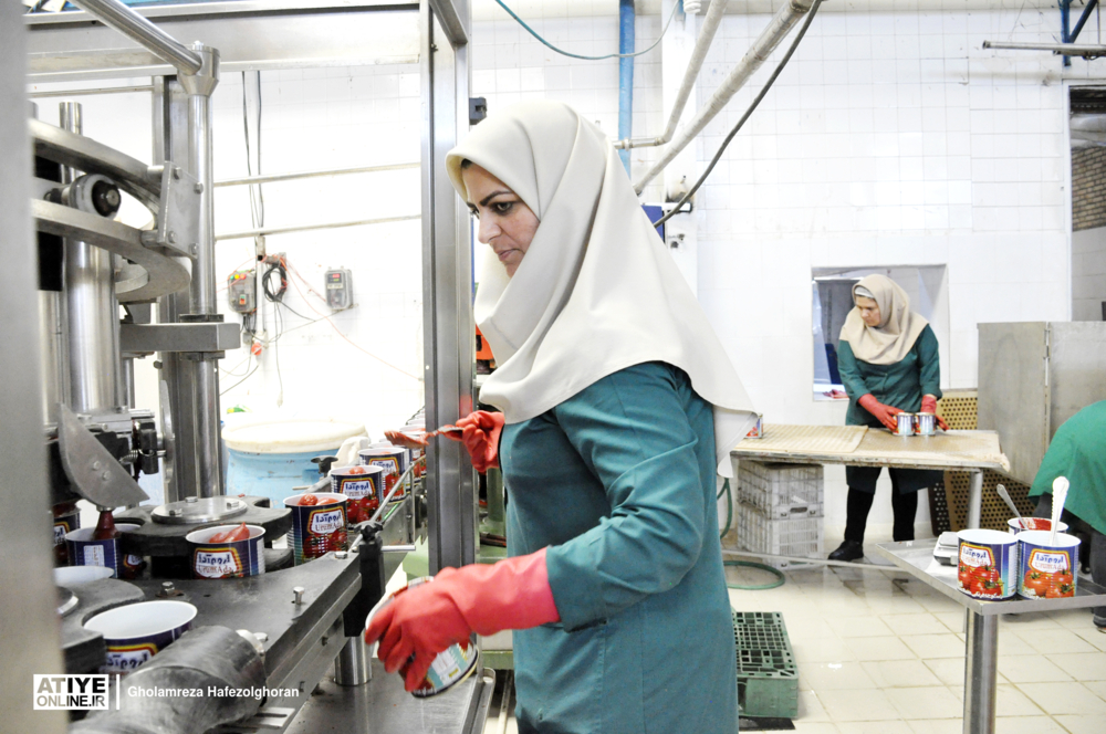 آخرین وضعیت اشتغال و بیکاری زنان در مناطق شهری و روستایی