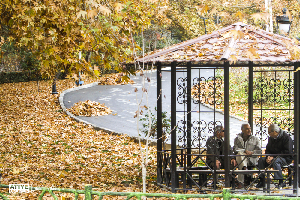 توسعه خدمات بازنشستگان تأمین اجتماعی در هزار روز گذشته