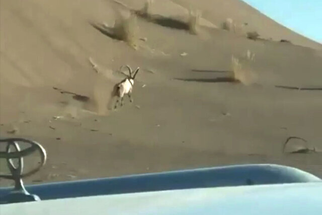 فارس قهرمان مرحله نخست رقابت‌های آفرود کشور شد
