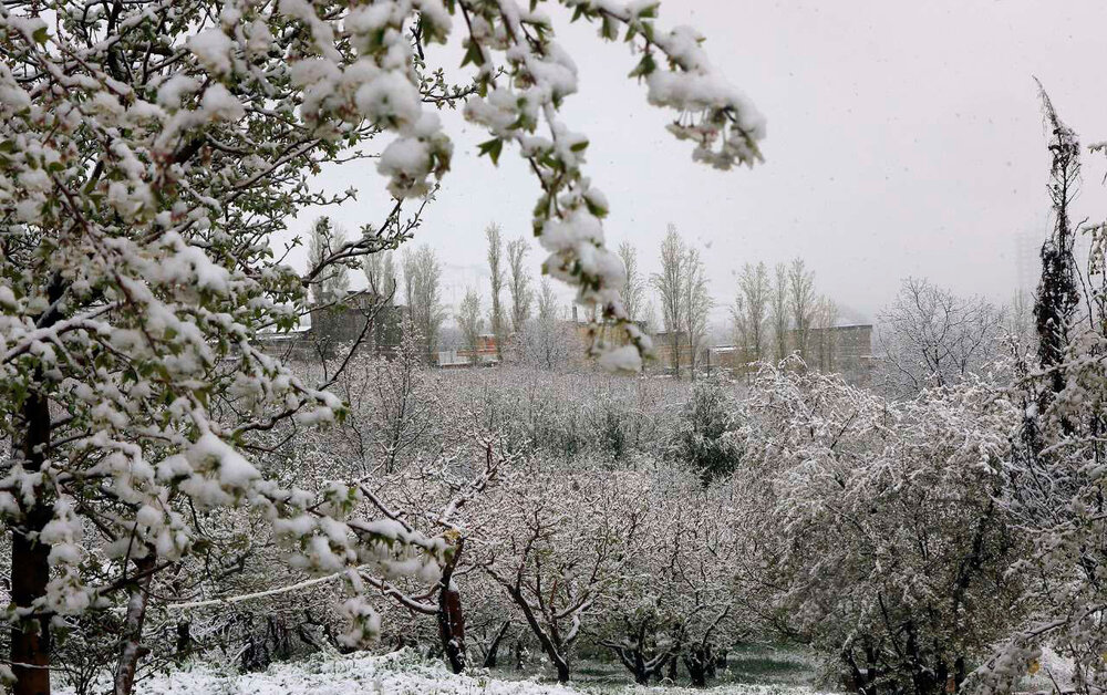 بارش باران و رعد و برق در بیشتر نقاط کشور