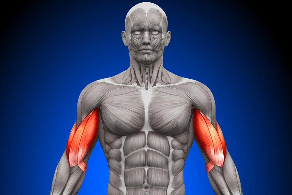 اسپاسم عضلانی دردناک و روش‌ درمان آن 