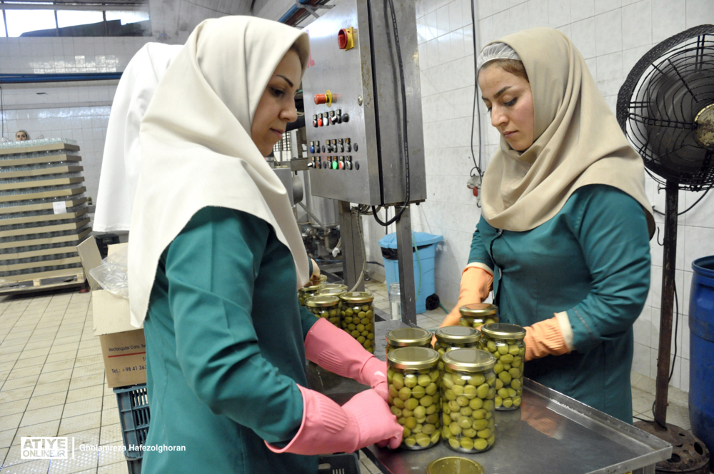 صنعت و کارآفرینی زن و مرد نمی‌شناسد