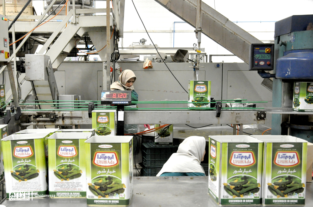  افزایش ورود زنان به بازار کار 