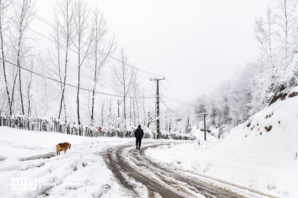 هواشناسی چهارمحال و بختیاری نسبت به وقوع کولاک برف هشدار داد
