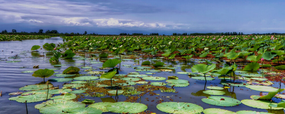 تاثیر توجه بارش‌های اخیر بر وضعیت تالاب‌ها