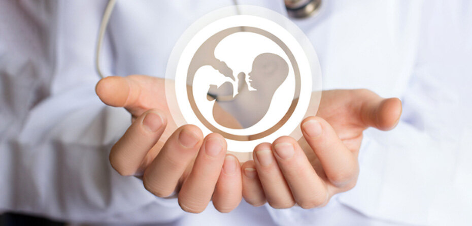 تشکیل ۴۳۲ پرونده حمایت از زوج‌های نابارور در کهگیلویه و بویراحمد