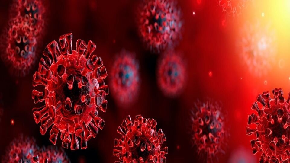 بازگشت رنگ قرمز به مازندران
