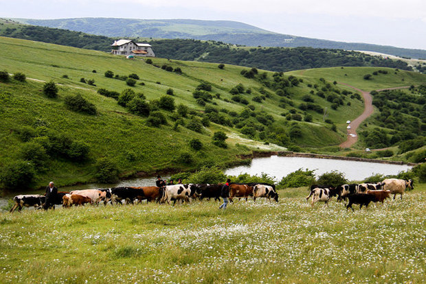 قطعه ۱۲- به سوی موفقیت گام بردار