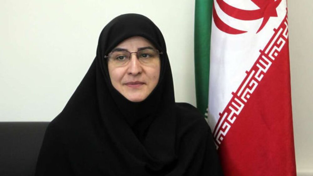 جبران ساعات آموزشی ابتدایی‌ها با اجرای طرح «حامی»