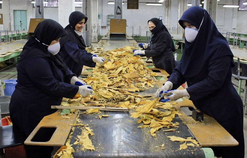 زیست بوم ملی اشتغال با اولویت ظرفیت مناطق