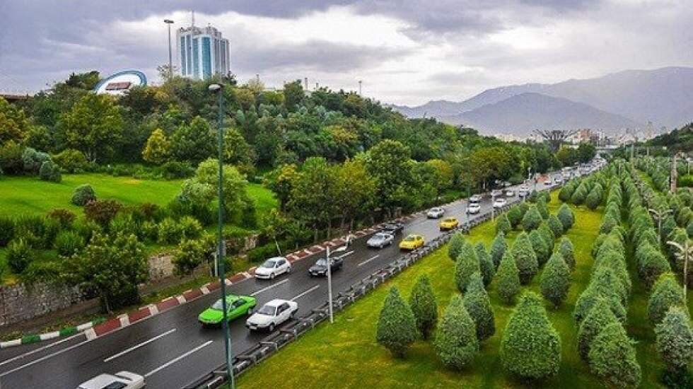 گیاهان بومی تهران دیگر توانایی بقا در پایتخت را ندارند