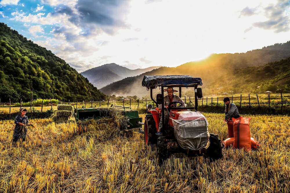 روستاها باید موتور و قطب تولید کشور باقی بمانند