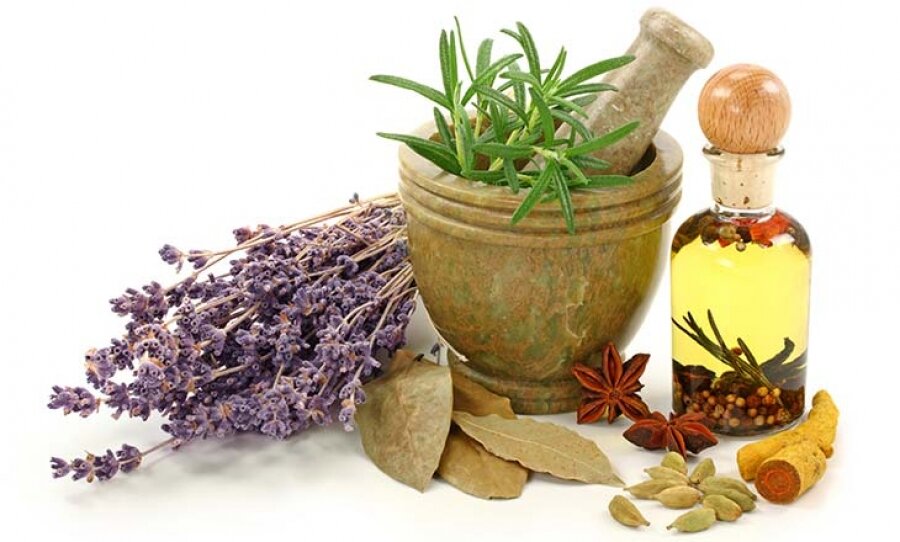 ارائه آموزش‌های درمانی توسط مؤسسات غیر معتبر؛ زنگ خطر