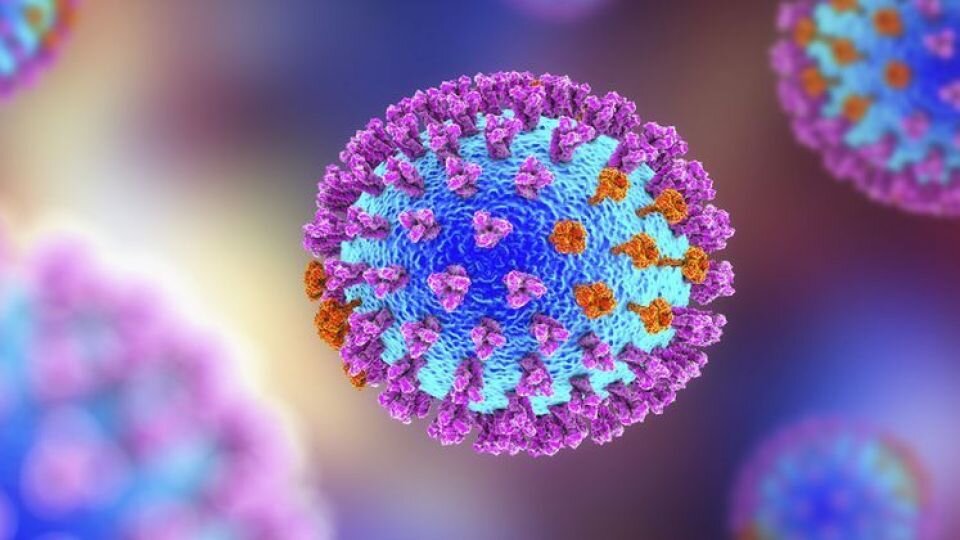 آمار جهانی همه گیری کووید ۱۹/ تلفات کرونایی آمریکا از ۹۷۰ هزار نفر گذشت