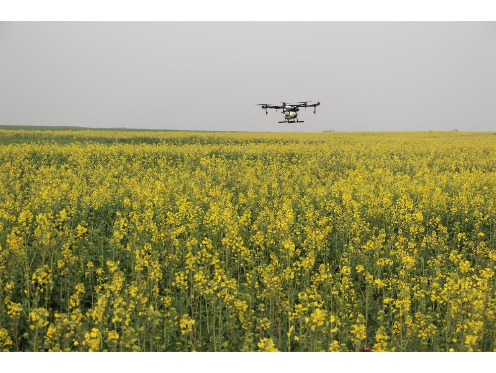 حذف سموم پرخطر از سبد مصرفی کشاورزان تا ۲ سال آینده