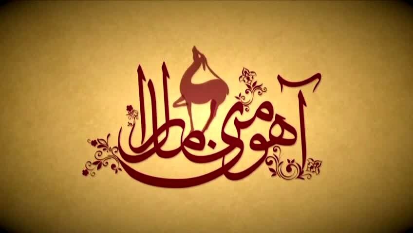 مشکل «آهوی من مارال»، «جیران» نیست