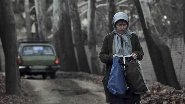 «بوتاکس» چهارمین جایزه بازیگری را برای سوسن‌پرور به ارمغان آورد
