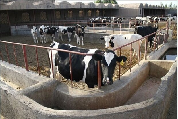 بررسی فرصت‌ها و چالش‌های داروسازی صنعتی در حوزه دامی