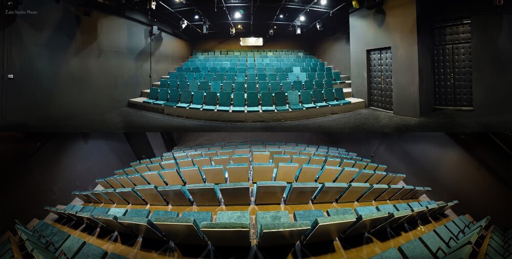 «پنگوئن، مرغ دریایی و چند پرنده‌ دیگر» در عمارت نوفل لوشاتو
