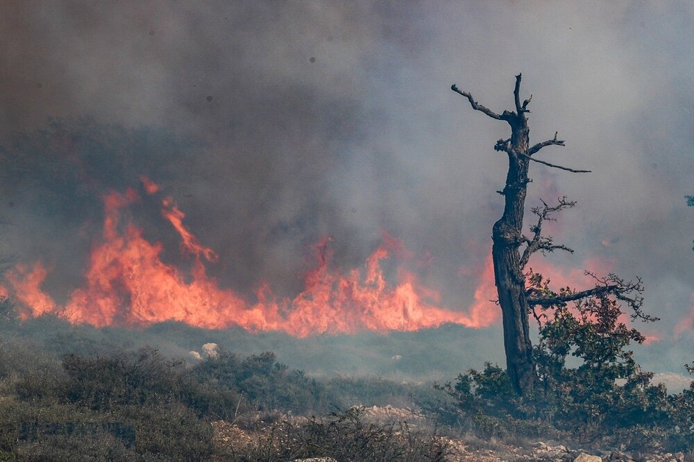 آتش سوزی جنگل های کجور به روز سوم رسید