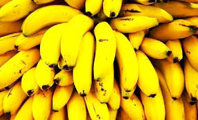 ۸۵ هزار تن موز در سیستان و بلوچستان برداشت شد
