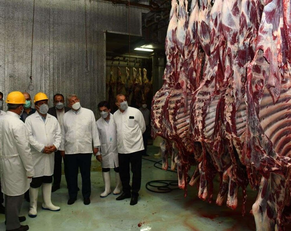 افزایش هزینه‌های درمان با کشتار دام‌های مولد