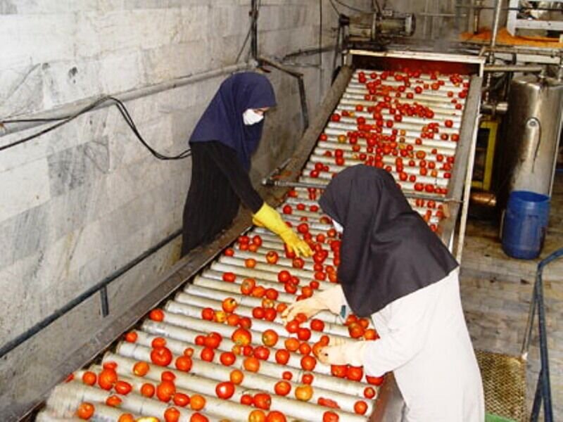 تشکیل بیش از ۴۰۰ شرکت تعاونی زنان در دولت سیزدهم 