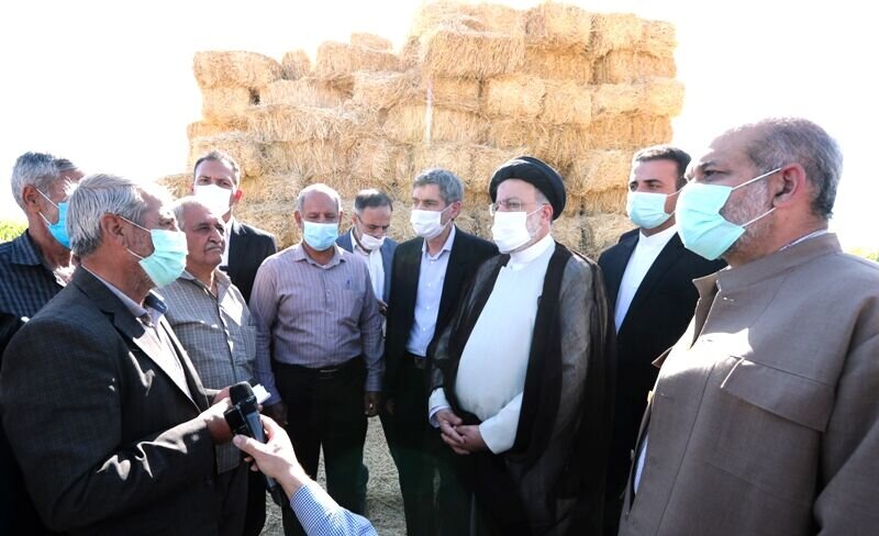 دست دلالان را از بازار نهاده‌های دامی قطع می‌کنیم