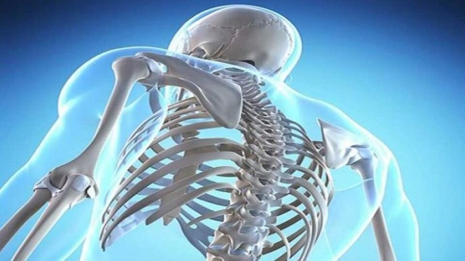 تسکین درد اسکلتی عضلانی با استخوان‌ درمانی