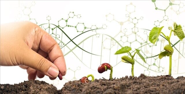 از ارتقای کیفیت محصولات زراعی تا کافئین‌زدایی و حساسیت‌زدایی از مواد غذایی