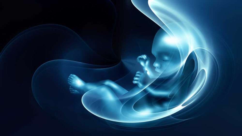 بررسی راهکارهای مقابله با سقط غیرقانونی