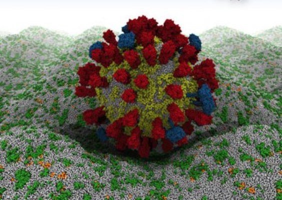 اختصاص ۸۰۰ هزار دز واکسن آنفلوآنزا به دانشگاه‌های علوم پزشکی کشور