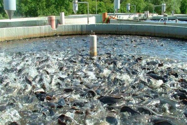 مدارس متوسطه دوم خراسان‌جنوبی حضوری شد 
