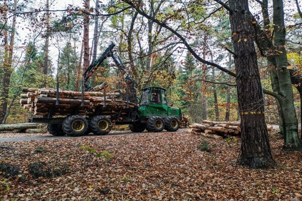 سالانه بیش از ۲۰۰ هزار هکتار از جنگل‌ها و مراتع کشور را از دست داده‌ایم