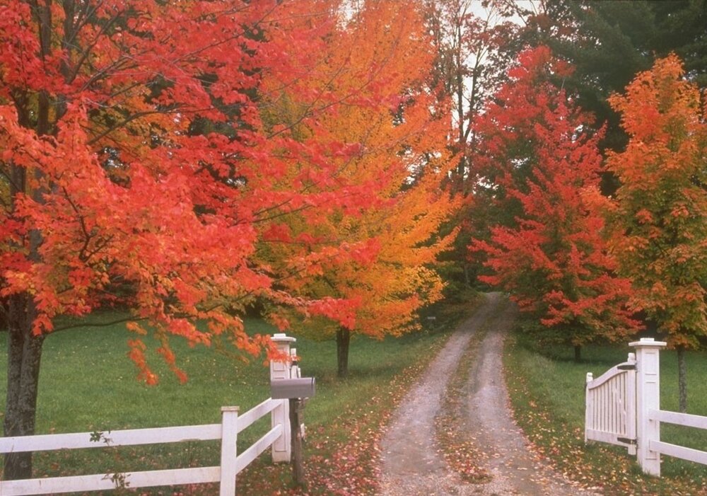 کاهش دما در تهران تداوم خواهد داشت