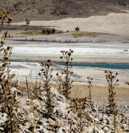 طرح‌های فناورانه حوزه شورورزی حمایت می‌شوند