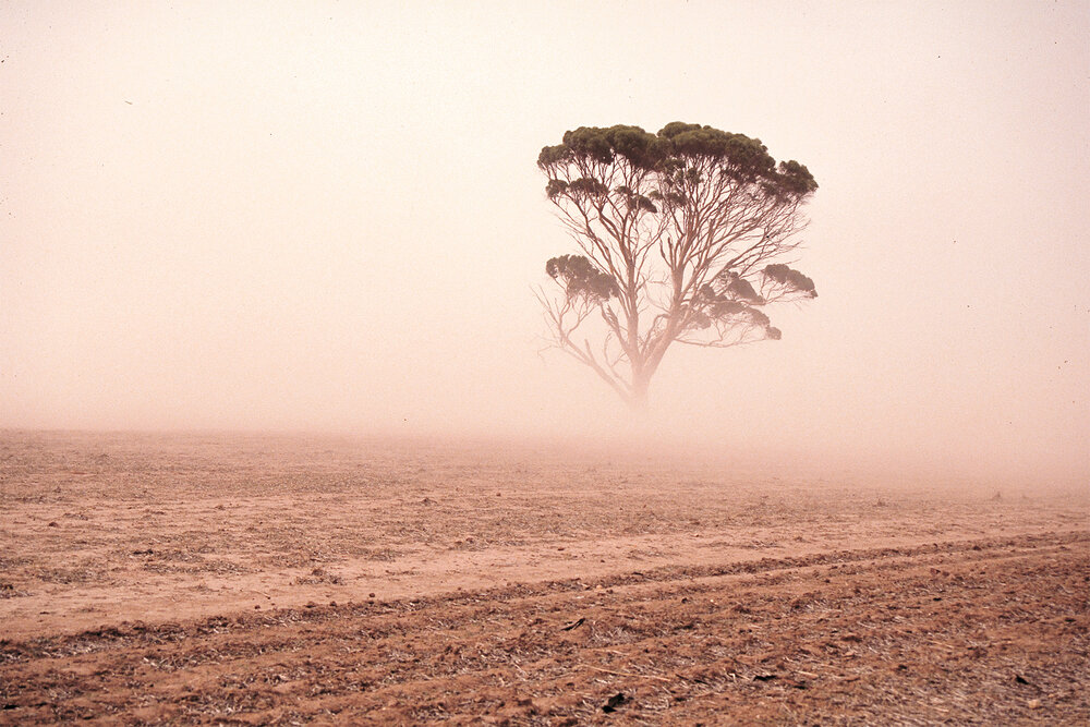 مدیرکل حفاظت محیط زیست استان کردستان: تغییر اقلیم از مهمترین علل شوری خاک است