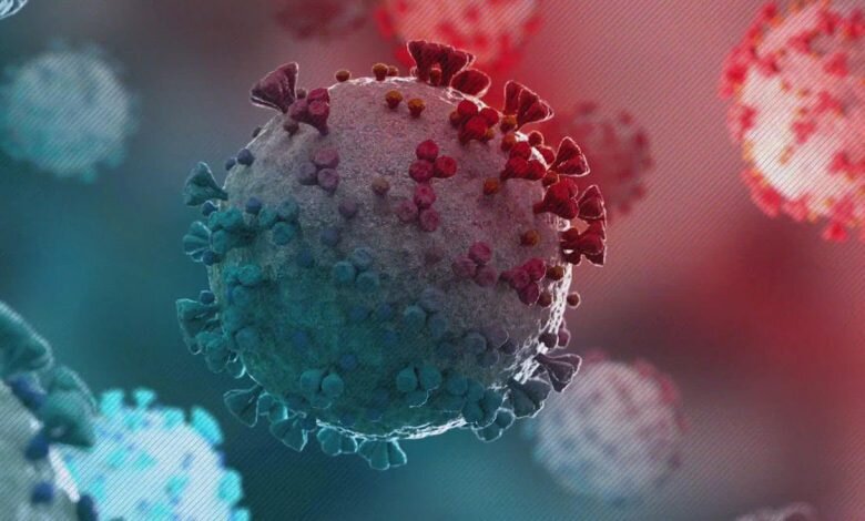 ۲ روز متوالی بدون فوتی کرونایی در قزوین
