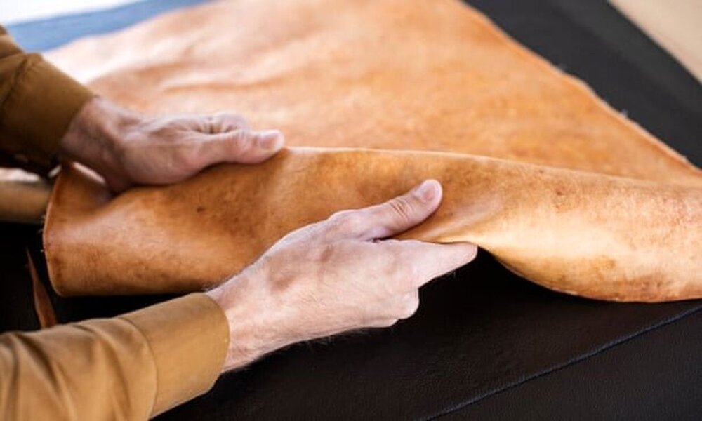 تولید چرم گیاهی از قارچ