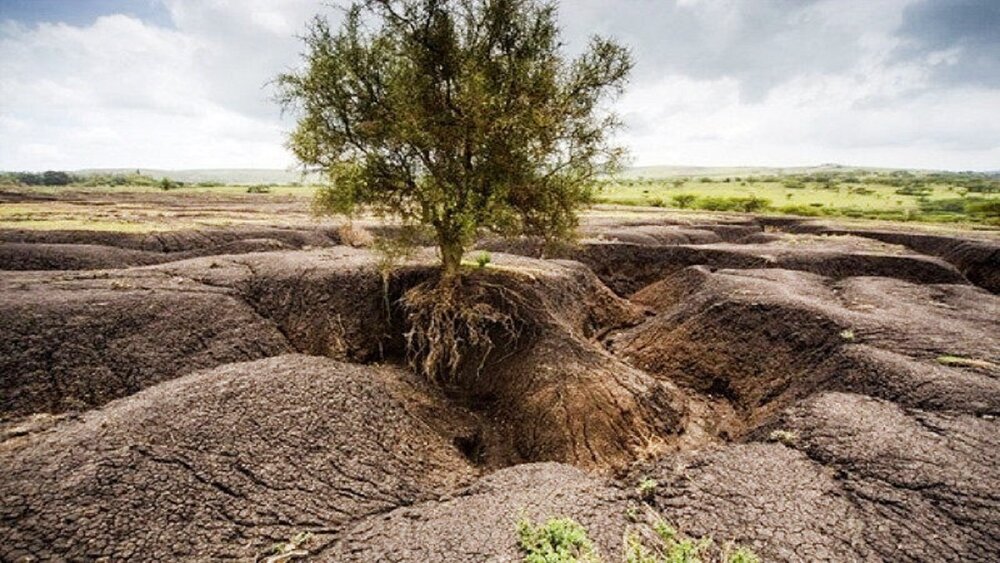 فرسایش خاک در کشور ۵ برابر متوسط جهانی است