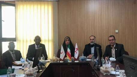 گسترش همکاری هلال‌احمر ایران و مالی در آفریقا