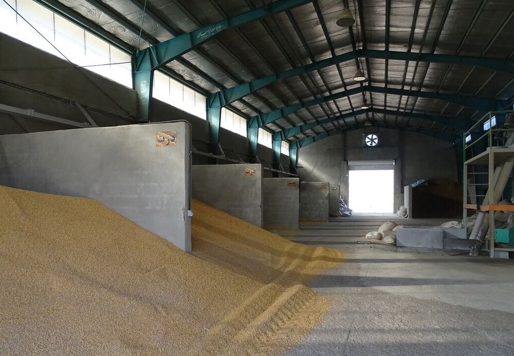 کشف بیش از ۳۰۰ تن خوراک دام و طیور احتکاری در کرمانشاه