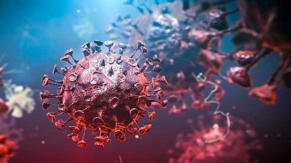 شناسایی اولین مورد ابتلا به اومیکرون در استان مرکزی
