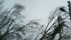 تندباد بی سابقه ۱۲ سال اخیر در اردبیل

