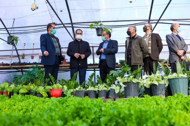  ۵۱ درصد فارغ‌التحصیلان کشاورزی بیکار هستند
