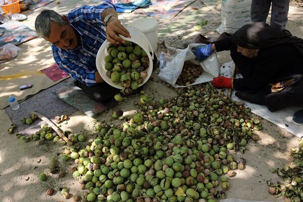 معضلی به نام «سد معبر» در تویسرکان