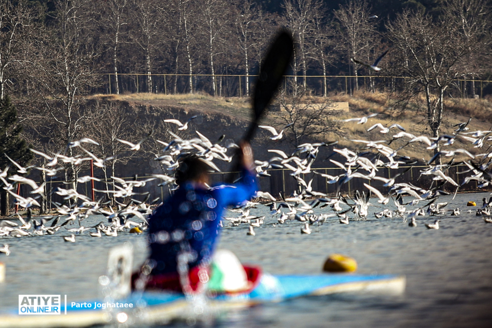 مسابقات قایقرانی آب‌های آرام زنان و مردان