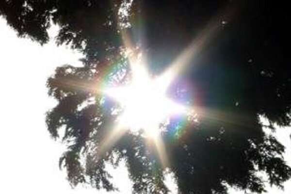 وزش باد گرم و احتمال حریق در جنگل های گلستان
